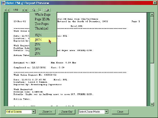 Report Preview Options